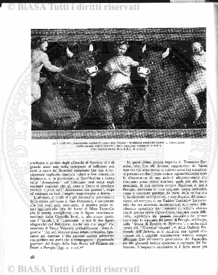 n. 5-6 (1903) - Copertina: 1