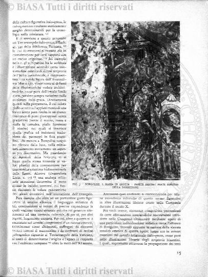 v. 8, n. 4 (1899) - Pagina: 49