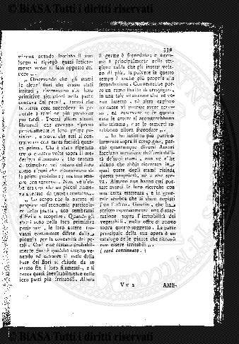v. 21, n. 121 (1905) - Copertina: 1