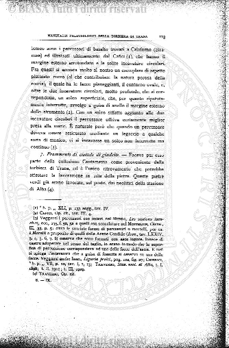 n. 11 (1902) - Pagina: 85