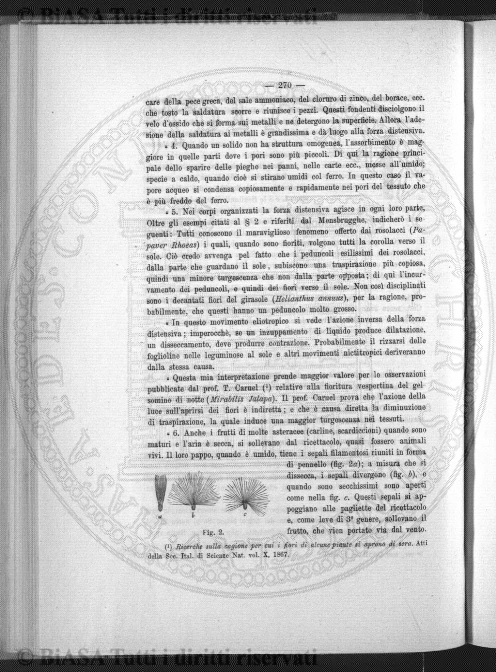 n. 2 (1911) - Copertina: 1