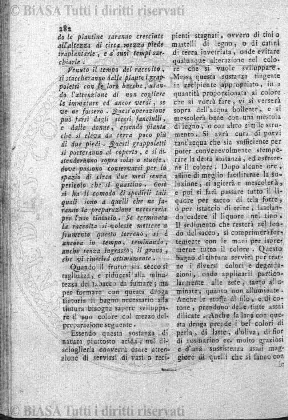 v. 2, n. 11 (1895) - Copertina: 1