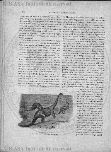 v. 5, n. 32 (1840-1841) - Pagina: 249