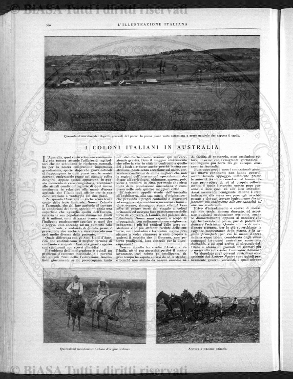 v. 8, n. 44 (1781-1782) - Pagina: 345