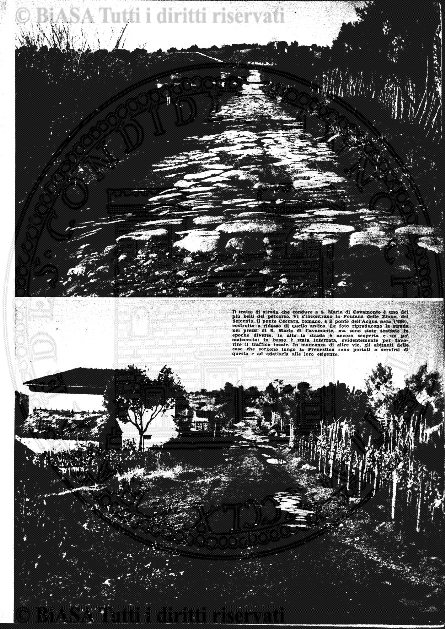 s. 2, n. 25 (1887-1888) - Pagina: 1