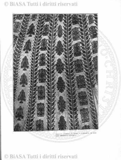 n. 28 (1843-1844) - Pagina: 81