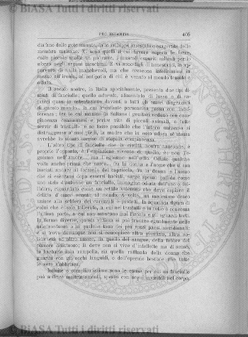 v. 10, n. 50 (1845-1846) - Pagina: 393