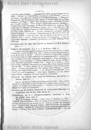 n. 3 (1837) - Pagina: 17