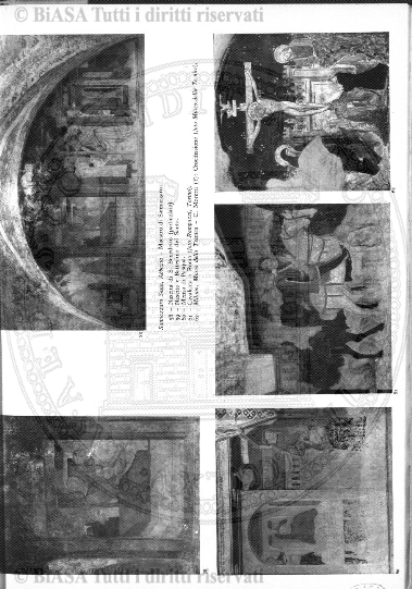n. 12 (1913-1914) - Pagina: 137