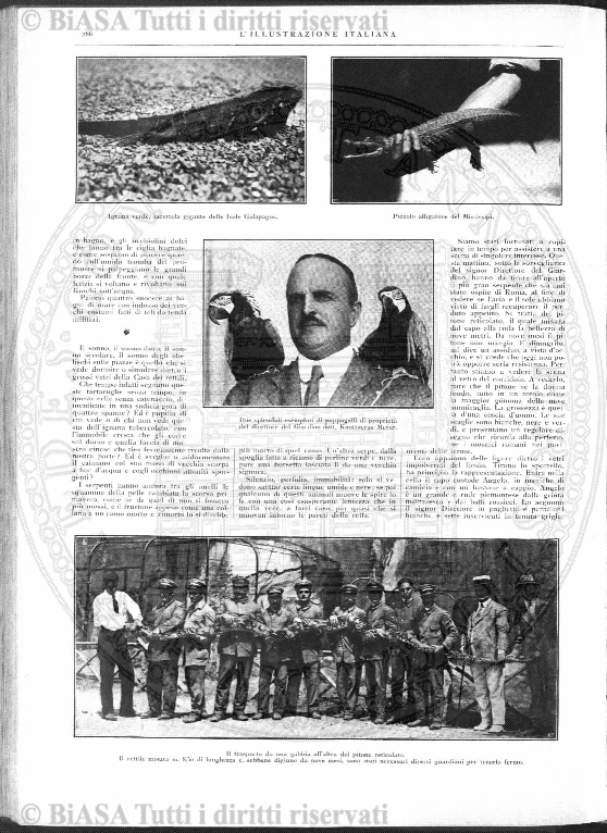 n. 1 (1903) - Copertina: 1
