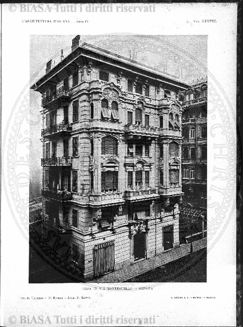 v. 27, n. 30 (1860-1861) - Pagina: 233