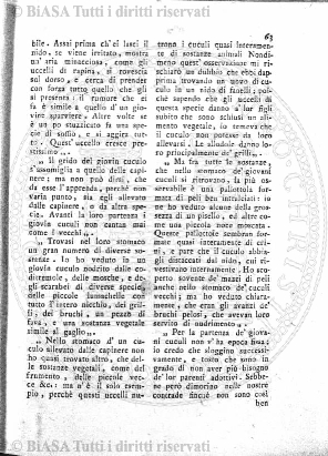 v. 3, n. 44 (1776-1777) - Pagina: 345