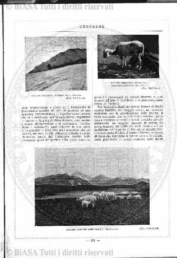 v. 2, n. 19 (1775-1776) - Pagina: 145