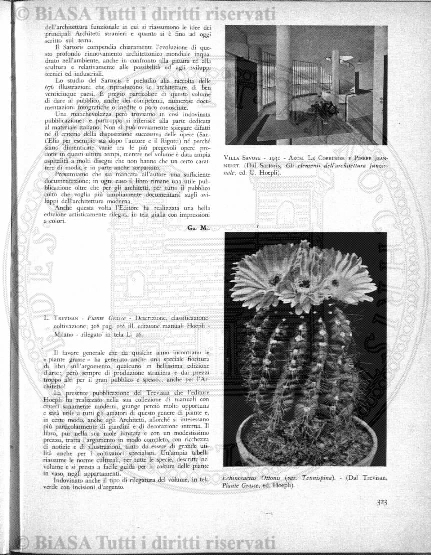 s. 3, n. 1 (1894) - Copertina: 1