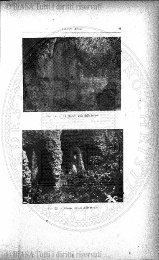 v. 27, n. 7 (1860-1861) - Pagina: 49