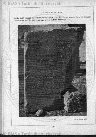 n. 10 (1867) - Pagina: 193