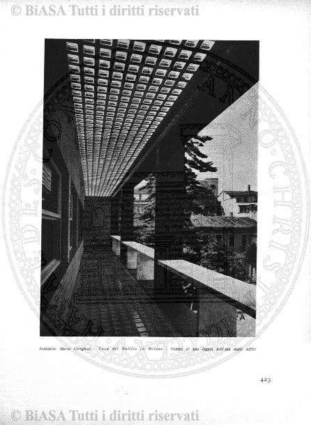 v. 20, n. 115 (1904) - Frontespizio