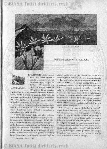v. 15, n. 43 (1788-1789) - Pagina: 337