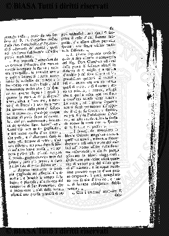 n. 3 (1884) - Pagina: 5