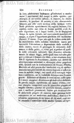 s. 5, n. 3 (1911) - Pagina: 65