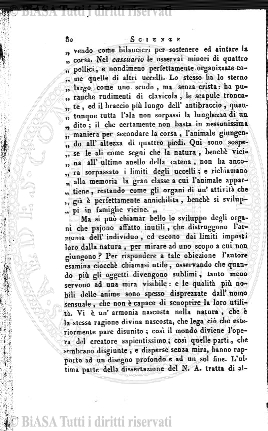 n. 4 (1846-1847) - Pagina: 25