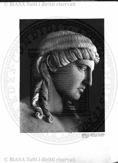 n.s., n. 101 (1856-1857) - Pagina: 17