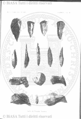 n. 41 (1879-1880) - Pagina: 321