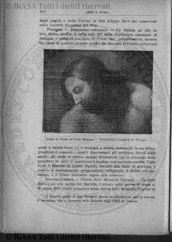 n. 8 (1895) - Pagina: 61