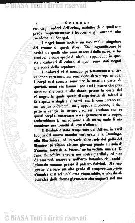 n. 11 (1905) - Copertina: 1 e sommario