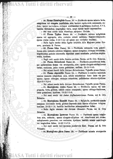 n. 8 (1911-1912) - Pagina: 85