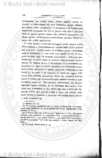 n. 1 (1905) - Pagina: 3