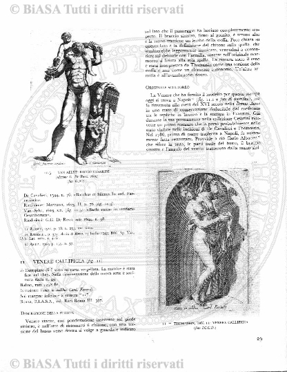 s. 3, v. 4, n. 19 (1899) - Copertina: 1 e sommario