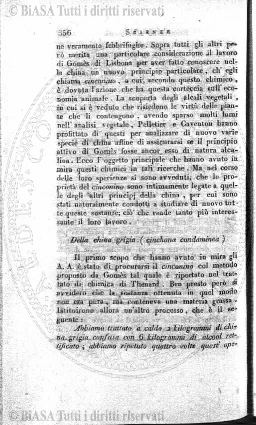 v. 23, n. 51 (1856-1857) - Pagina: 401
