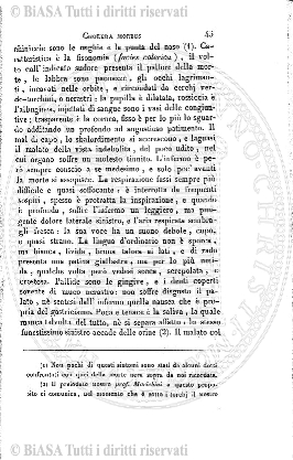 v. 6, n. 39 (1841-1842) - Pagina: 305