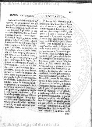 s. 5, v. 12, n. 5 (1906) - Copertina: 1