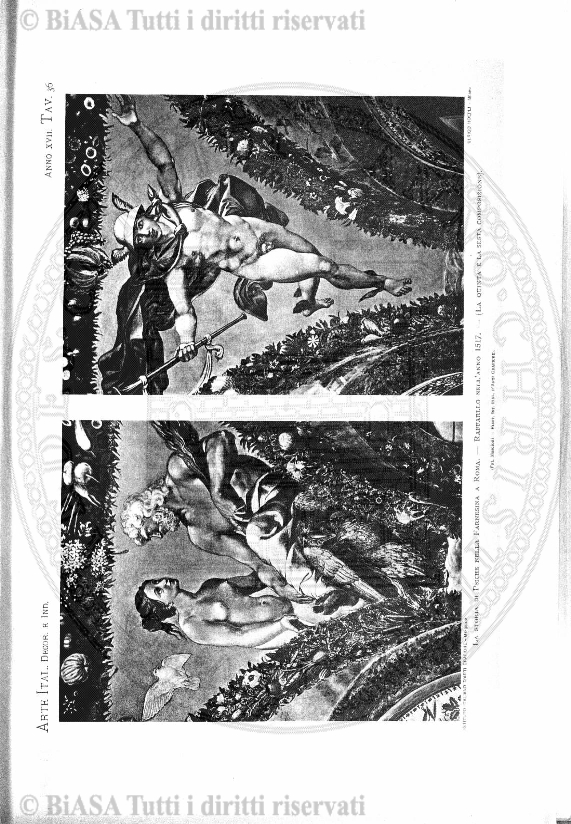 n. 11 (1899) - Pagina: 85
