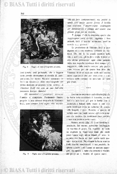 n. 6, supplemento (1915) - Pagina: 37