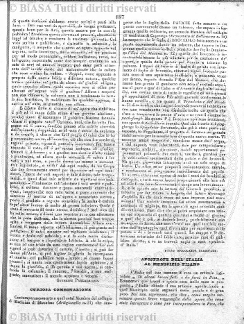n. 17 (1890-1891) - Pagina: V