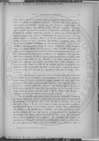 s. 2, v. 4, n. 7-8 (1888) - Pagina: 109