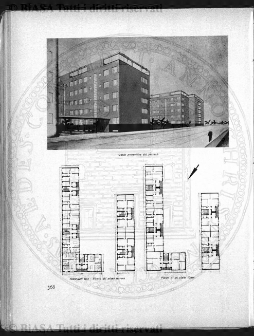 s. 3, n. 6 (1903) - Pagina: 33 e sommario