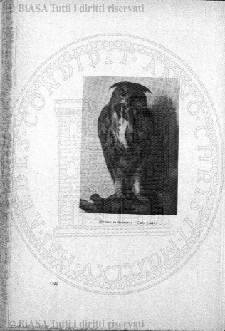n. 8 (1908) - Frontespizio