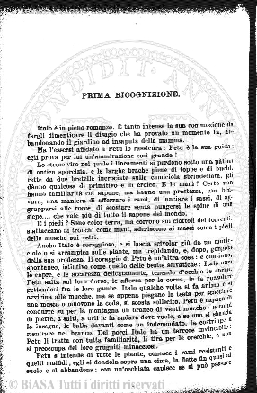 n. 2 (1902) - Pagina: 13
