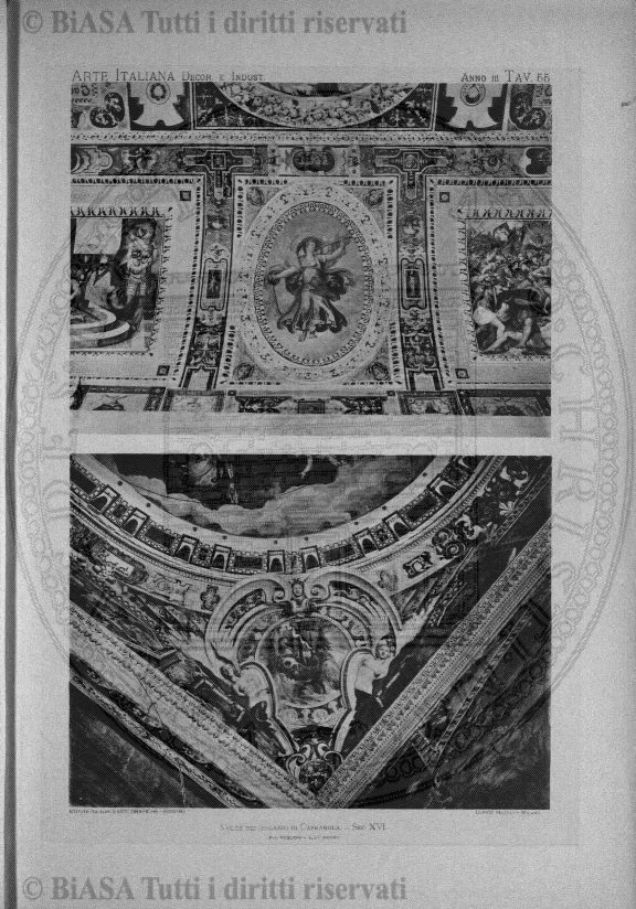 n. 5 (1919) - Pagina: 33