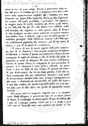 n. 8 (1903) - Pagina: 351