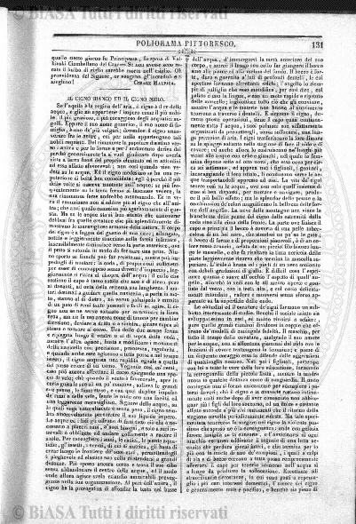 n. 28 (1877) - Frontespizio