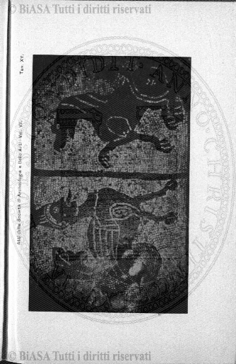 v. 37, n. 218 (1913) - Pagina: 82