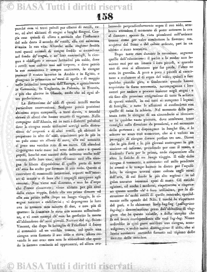 n. 12 (1879) - Pagina: 23