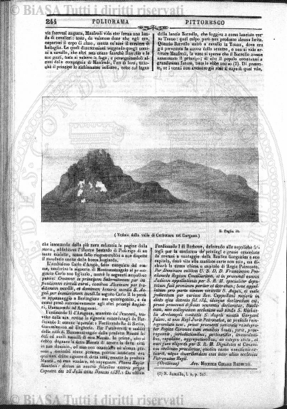s. 3, n. 21 (1904) - Pagina: 137 e sommario