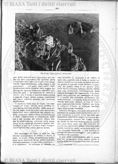 n. 31 (1896) - Frontespizio