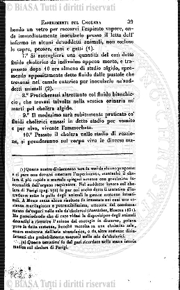 n. 7 (1909) - Pagina: 241